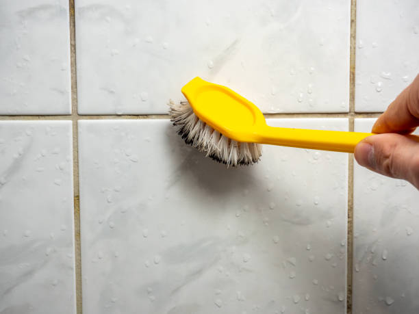 Best Commercial Mold Removal  in Cypress Landing, NC