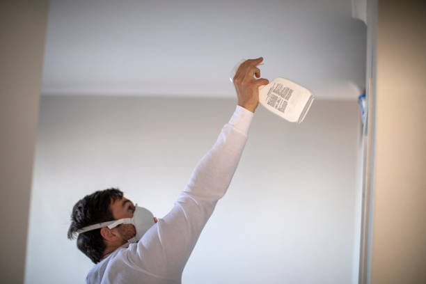 Office Mold Removal Services in Cypress Landing, NC