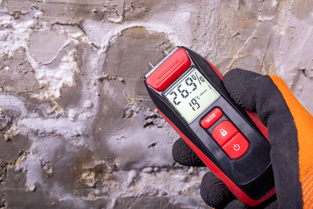 Best Professional Mold Removal  in Cypress Landing, NC