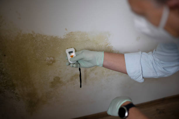 Best Mold Testing  in Cypress Landing, NC
