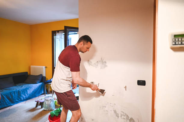 Best Toxic Mold Removal  in Cypress Landing, NC